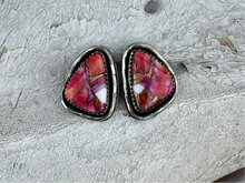 Load image into Gallery viewer, The Santa Cruz studs
