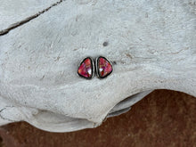Load image into Gallery viewer, The Santa Cruz studs

