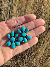 Load image into Gallery viewer, The Rio Lobos
